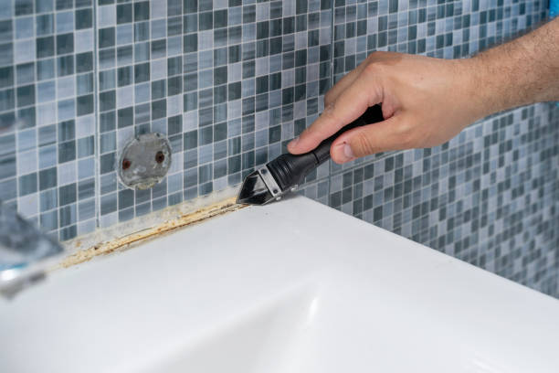 Best Mold Testing and Removal  in Wilder, VT
