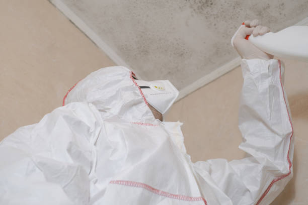 Crawl Space Mold Removal in Wilder, VT